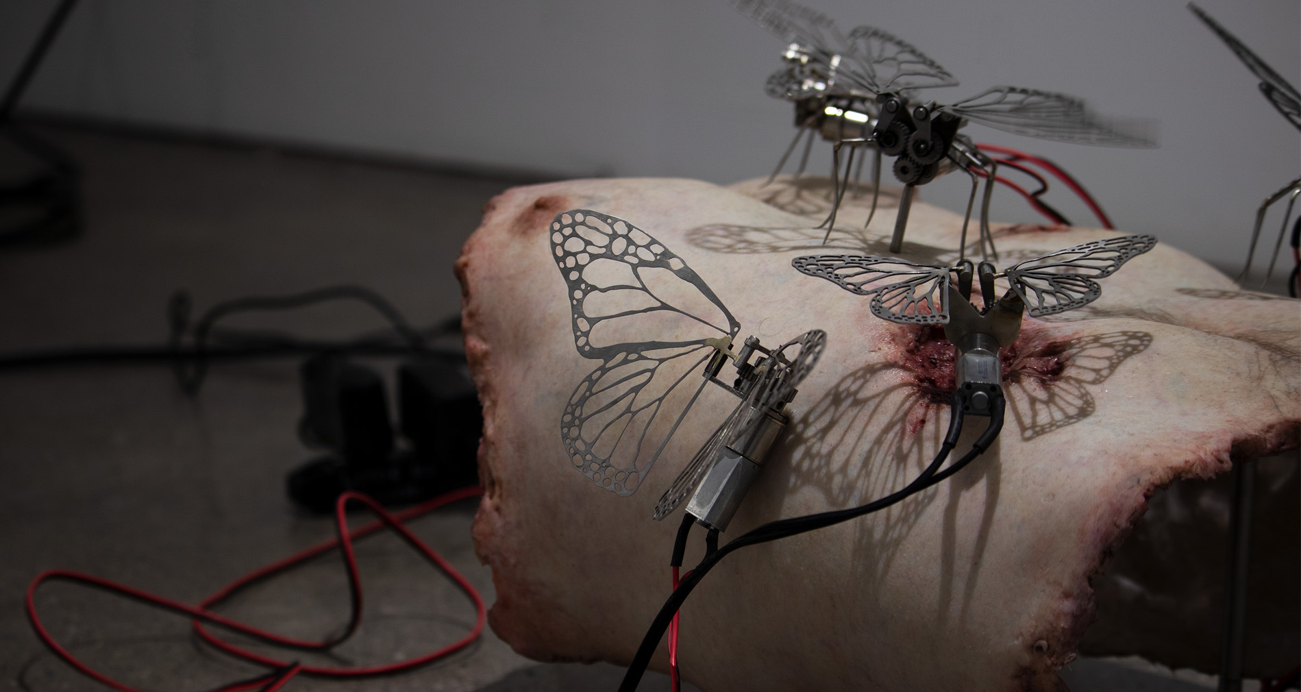 Shay Salehi & Gina D’Aloisio