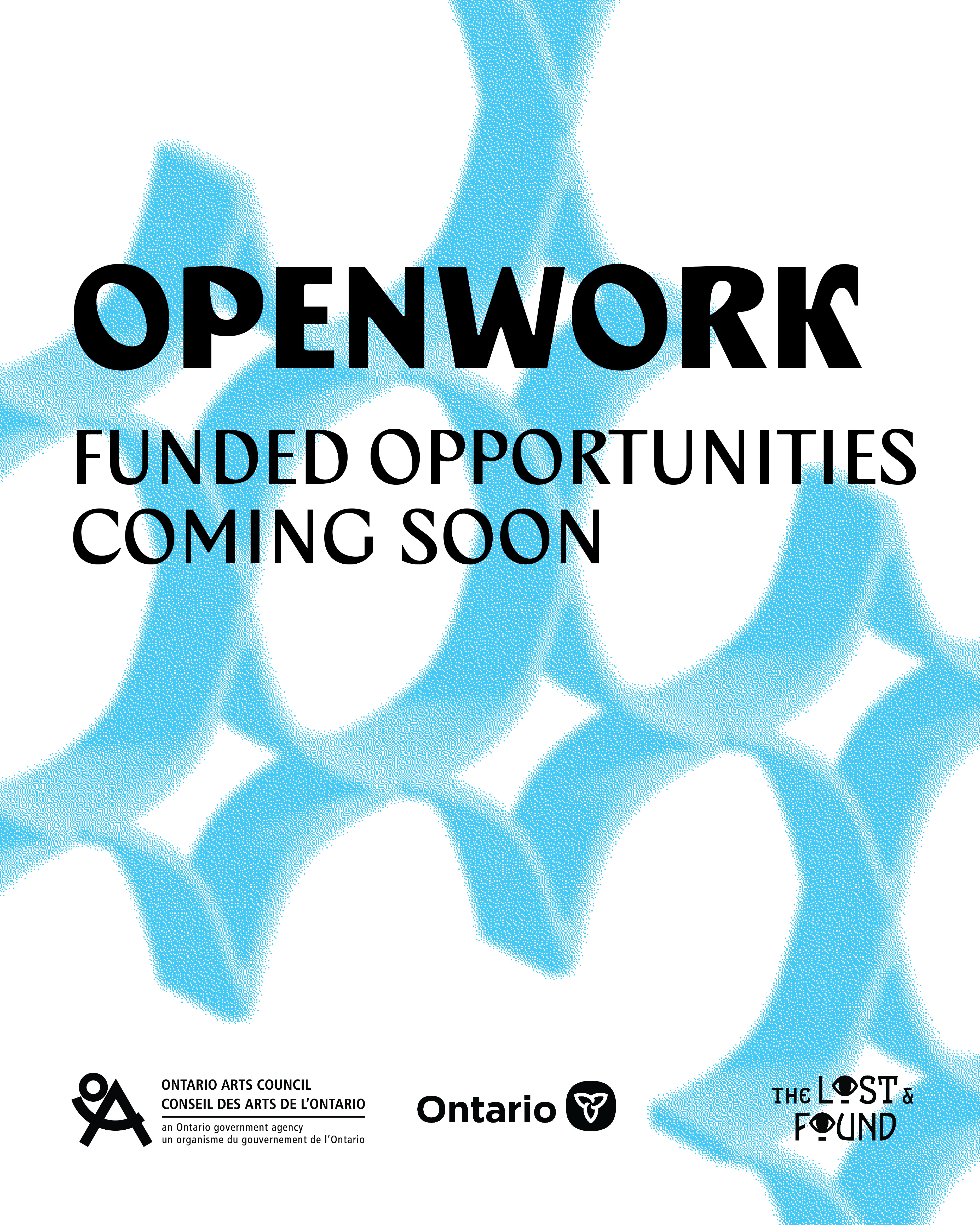 Openwork, supported by the Ontario Arts Council, Supporting Artists Working in Experimental Craft Media